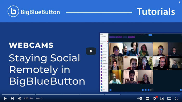 BigBlueButton Tutorial Webcams