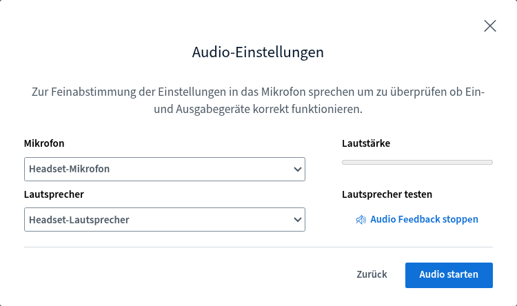 Audio- und Videoübertragung Fenster „Audio-Einstellungen“ (Echotest)